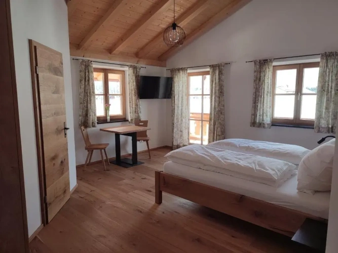 Standard Double room with mountain view