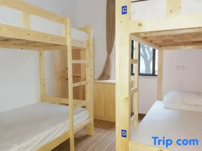 Premium Quadruple room