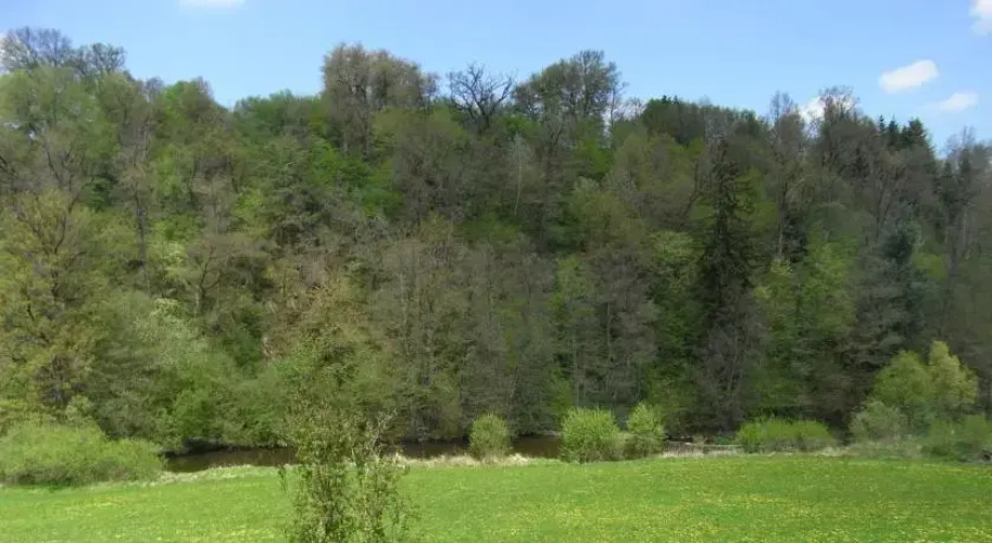 Zwettltalblick