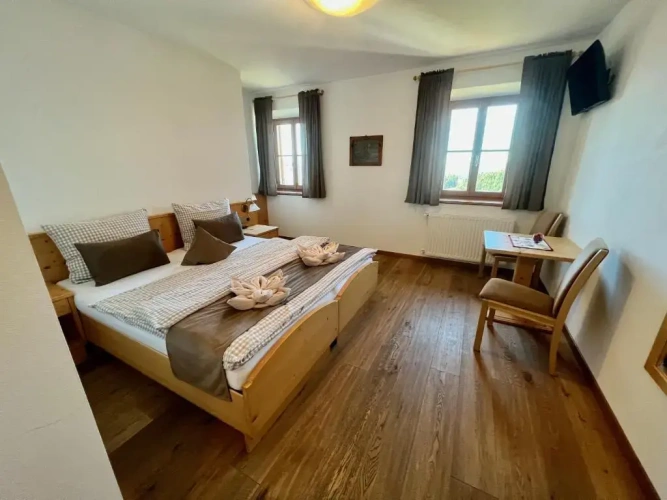 Standard Double room with mountain view