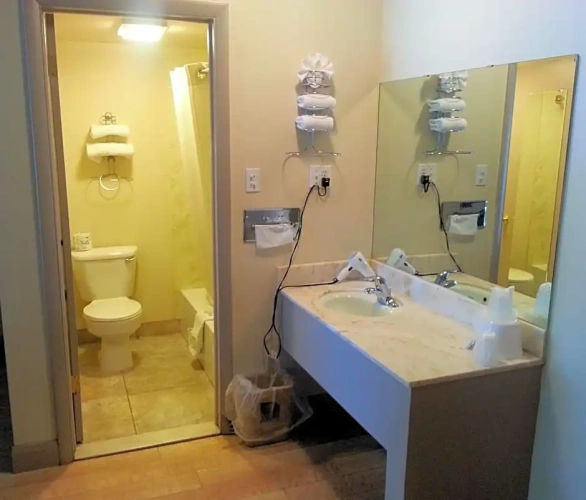 Deluxe Double Suite
