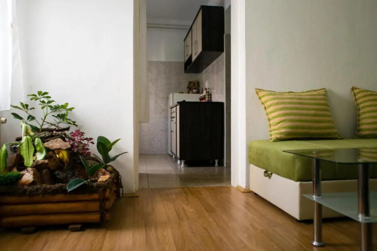 Green Apartment