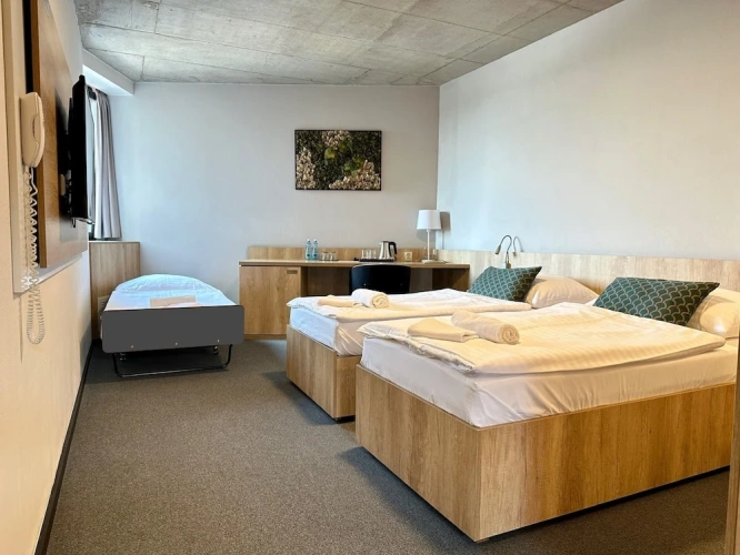 Standard Triple room