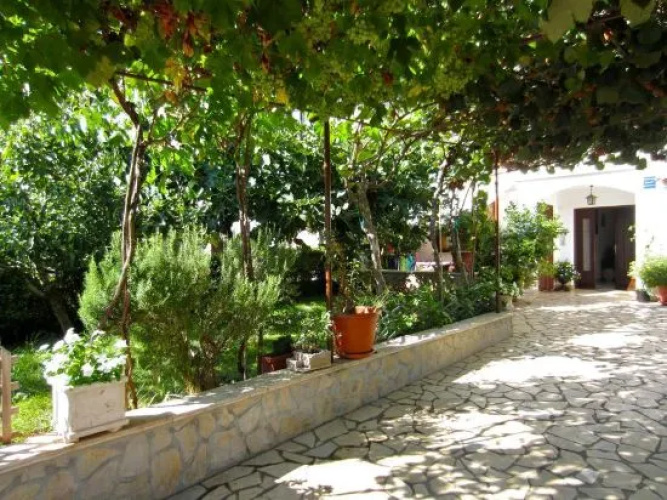 Apartments Olea