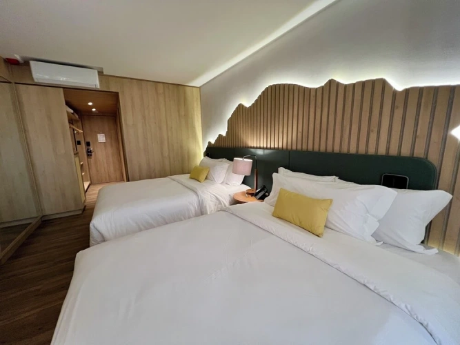 Deluxe Twin room with city view