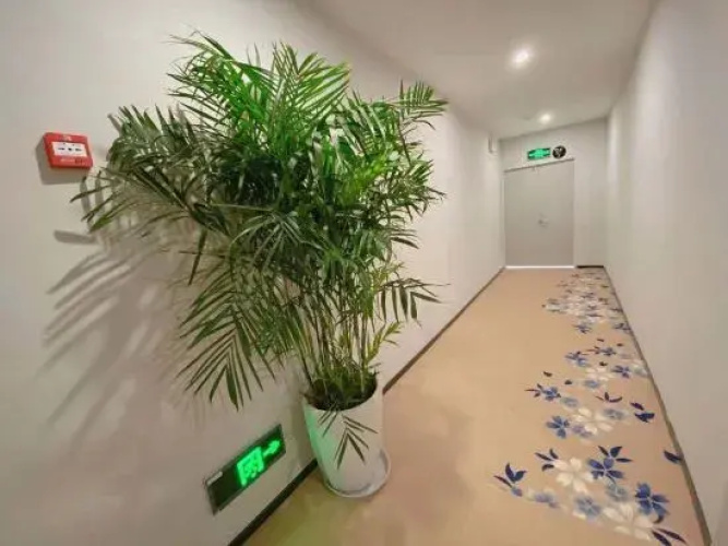 SUZHOUMOANAHOTEL