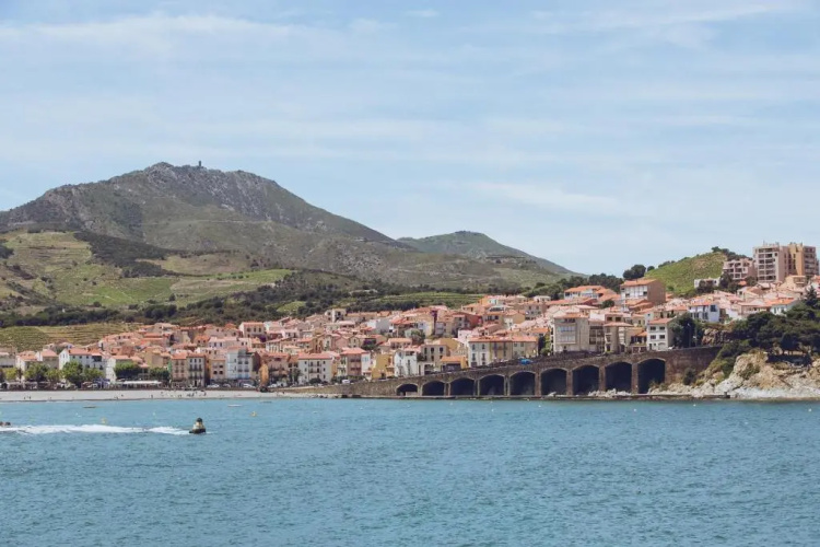 Regina's Banyuls - Top view