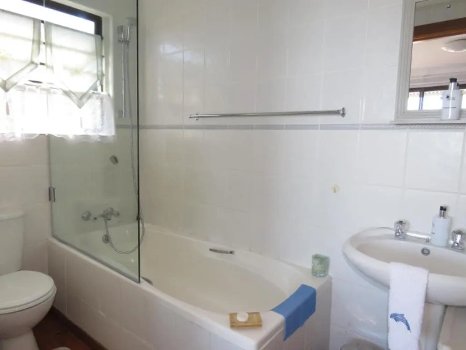Standard Double room with balcony and with ocean view