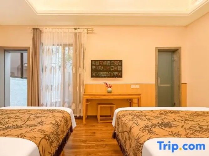 Deluxe Twin Family room