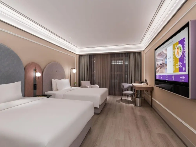 Deluxe Twin room with city view