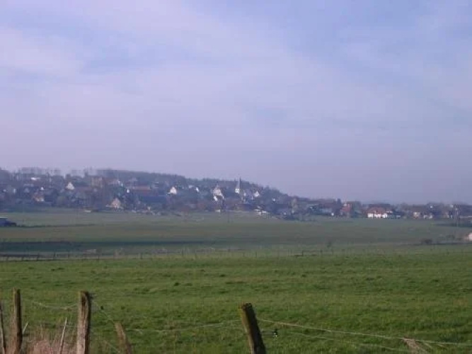 Willekes Blütenhof