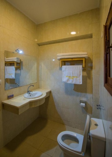Standard Double room with sea view