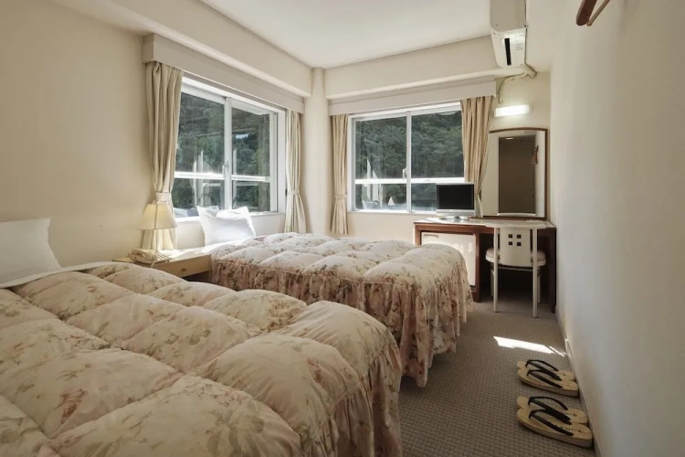 Western-style Twin room