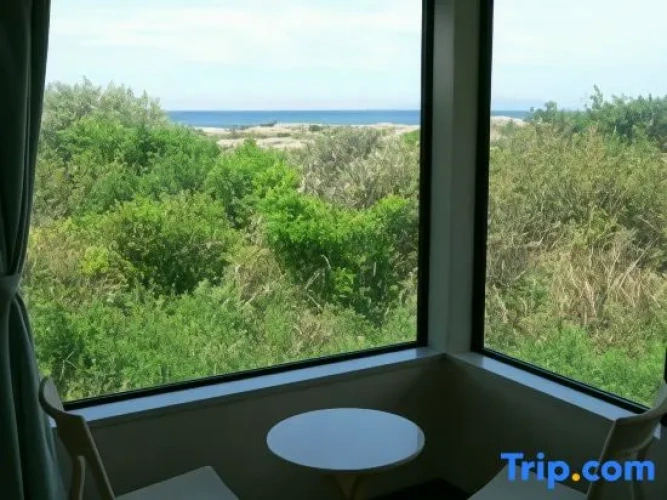 Standard Double room with ocean view