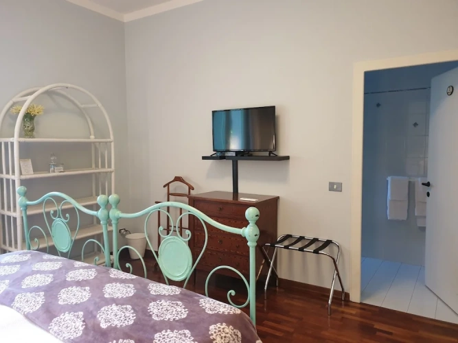 Deluxe Double room with park view
