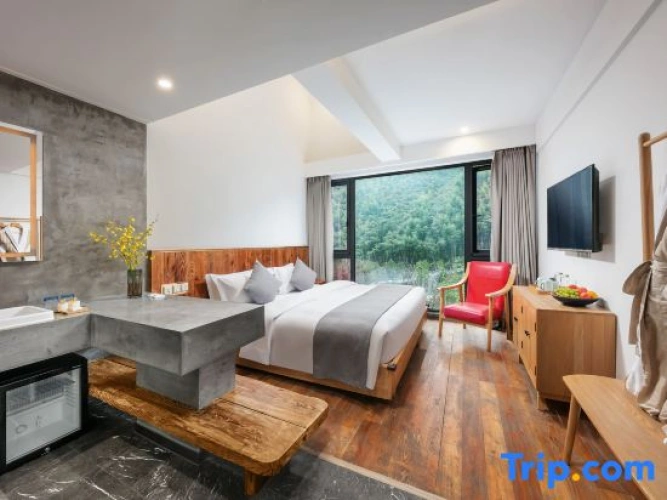 Standard Double room with mountain view