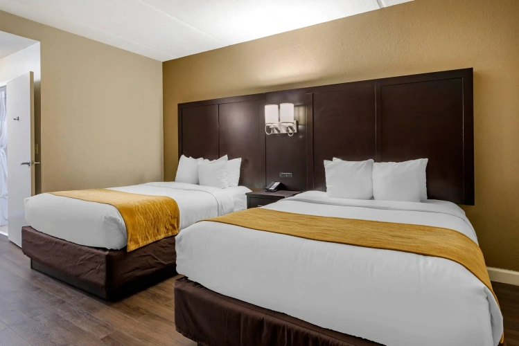 Quadruple Suite