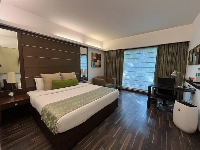 1 Bedroom Executive Suite