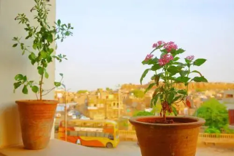 The Wanderlust Guest House