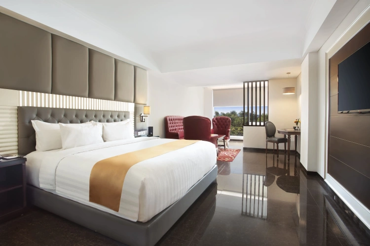 Double Club Suite with park view