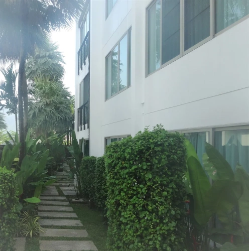 1 Bedroom Suite
