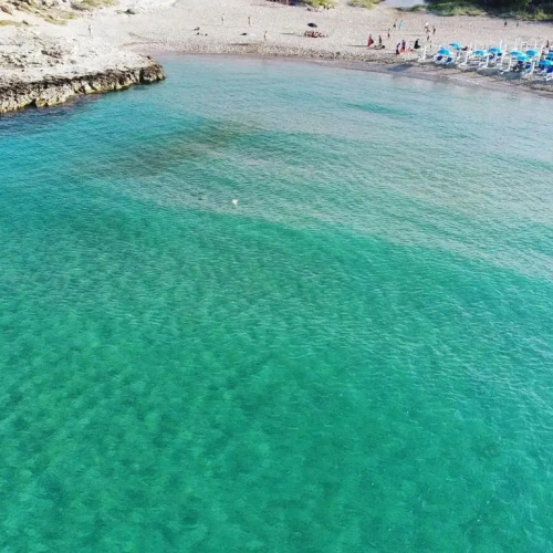 Alcova