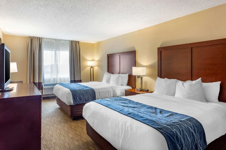 Standard Quadruple room