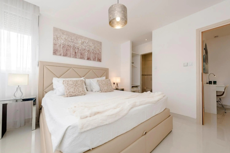 Urban Luxury Apartment