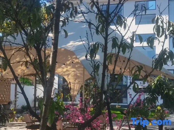 Outside