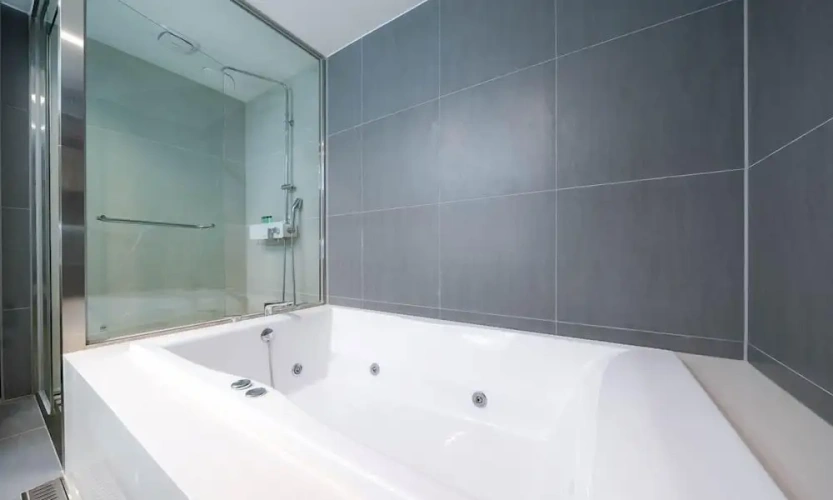 Premium Twin room