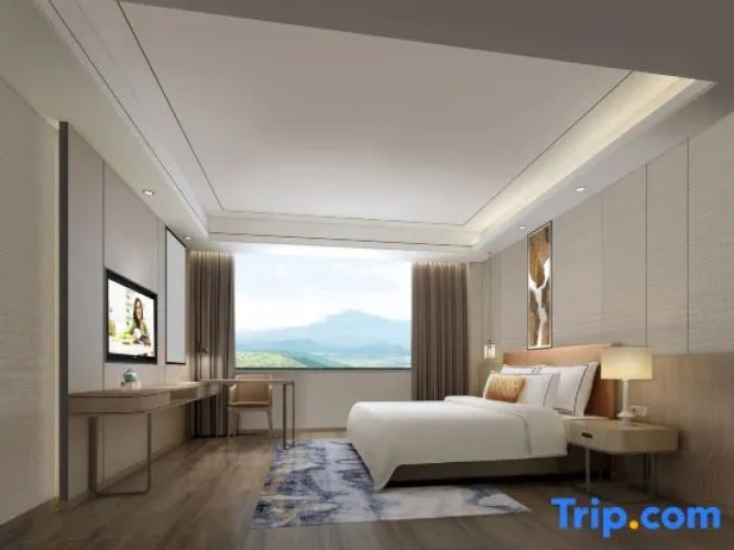 1 Bedroom Business Suite