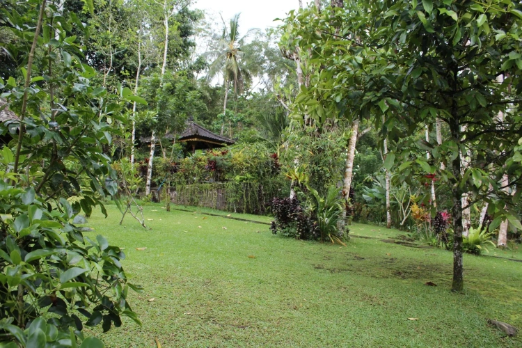 Standard Twin room with balcony and with view