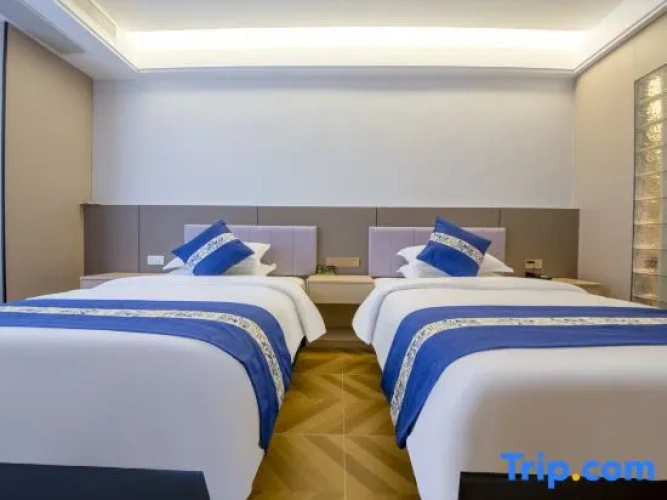 Executive Twin room with city view