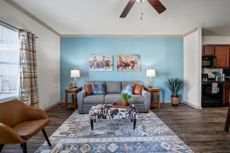 1 Bedroom Apartment