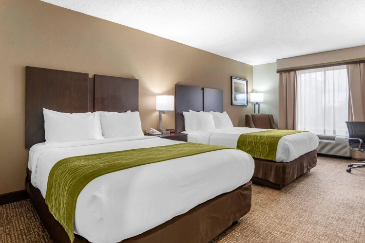 Standard Quadruple room
