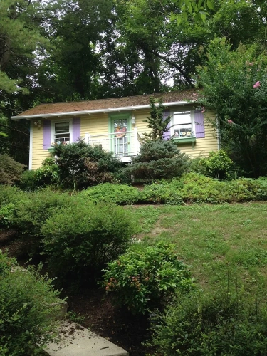 Standard room with garden view