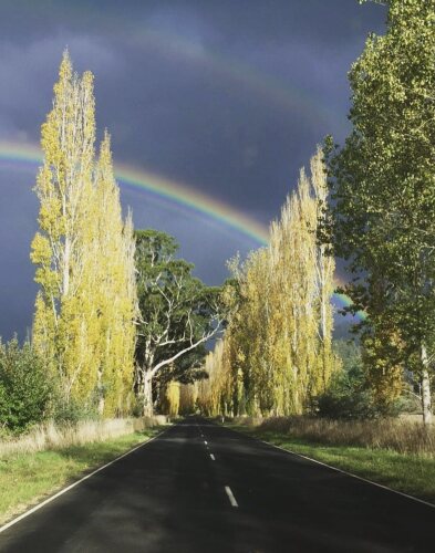 Balangara CottagesOver view
