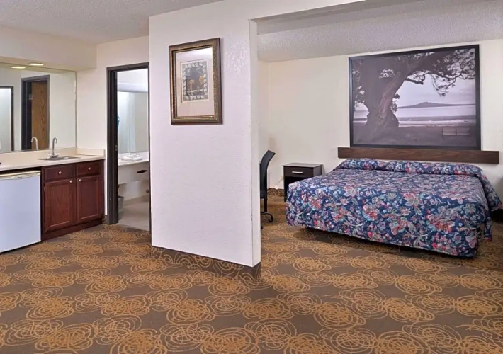 1 Bedroom Single Suite