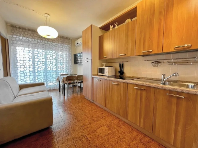 1 Bedroom Studio with balcony and with pool view