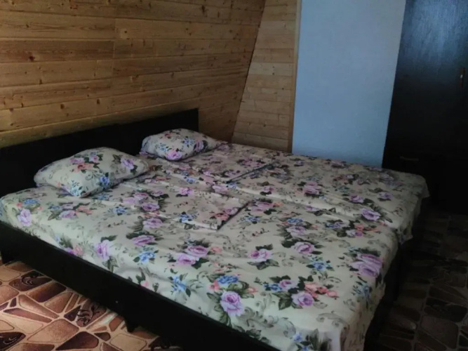 Guest house Irina