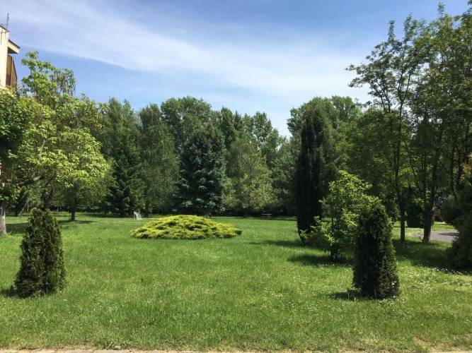 Outside