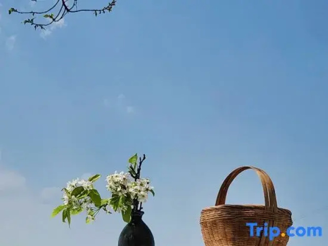 Mohuayue Bailinju Boutique Hostel