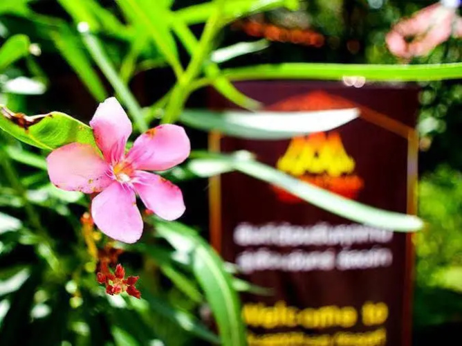 Ruanchan Resort