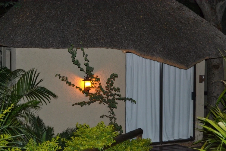 1 Bedroom Standard Single room