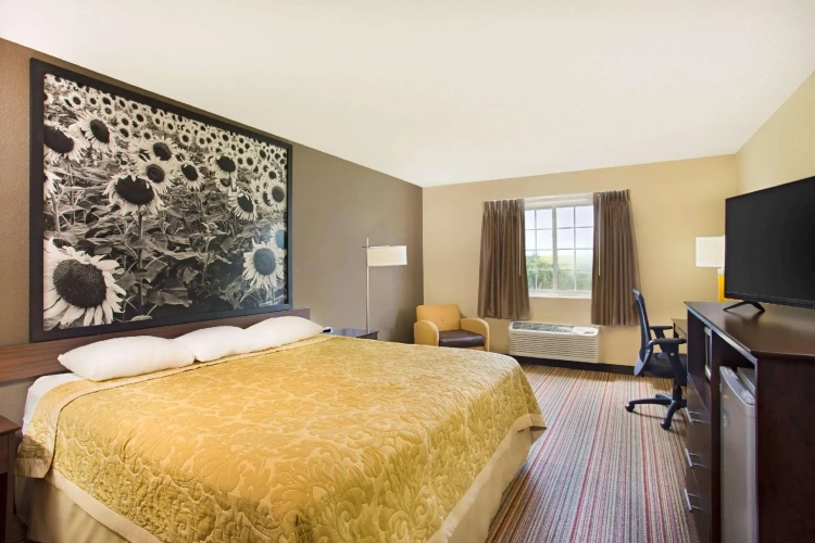 Standard Double room