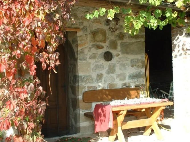 Quadruple Studio with garden view