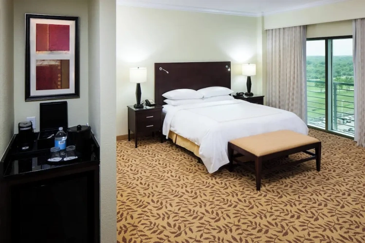 Deluxe Double Suite
