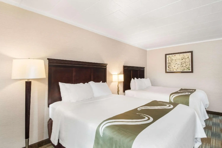 Quadruple Suite