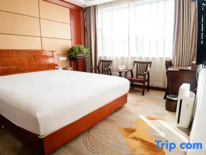 Deluxe Twin Suite