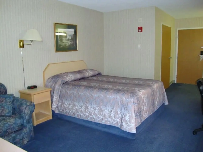 Executive Double Basement room